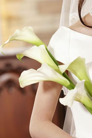 盛岡で結婚指輪をお探しの方へオススメ