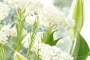 オーダーメイドの大体の予算を把握できるサイト